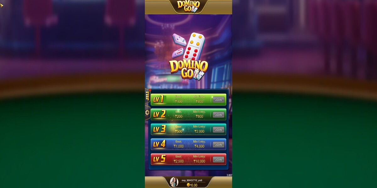Domino Go